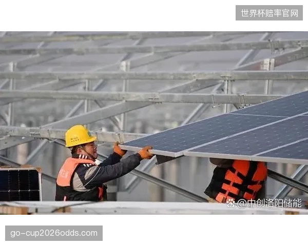 苏州奥体中心太阳能组件穿透网架，自发自用逻辑抵消三成日间能耗